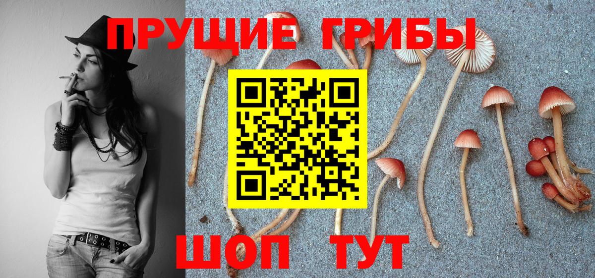 Новочеркасск  Галлюциногенные грибы Cubensis  Галлюциногенные грибы MAGIC MUSHROOMS  Вход с VPN 